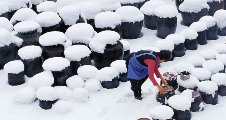 Gochujang w wazach zimą